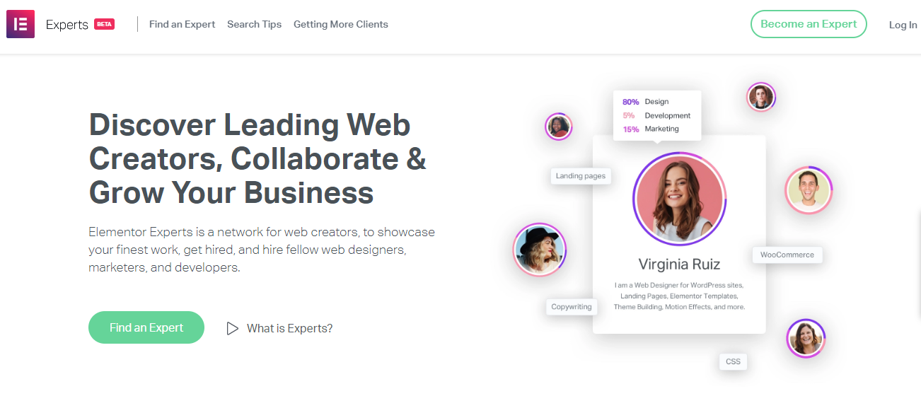 Elementor Experts Review - Another Marketplace For WordPress User