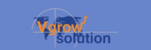 Vgrow Solution Review - Should You Hire Them?